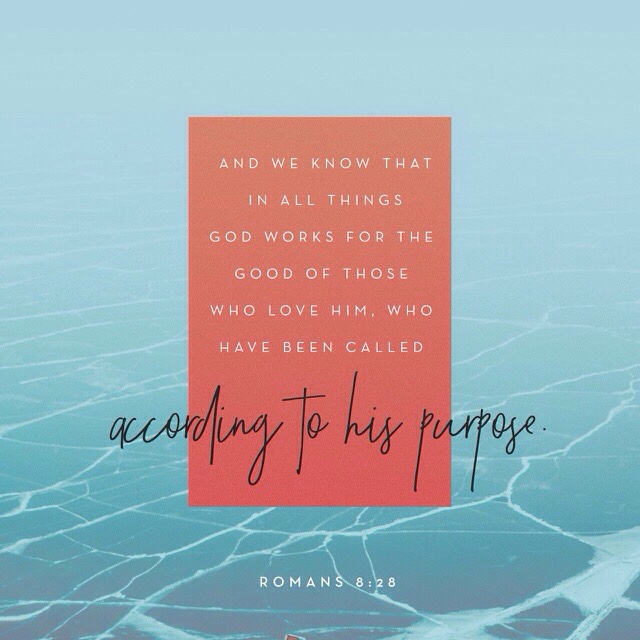 Day 1: Focus – see God at work in your&nbsp;circumstances