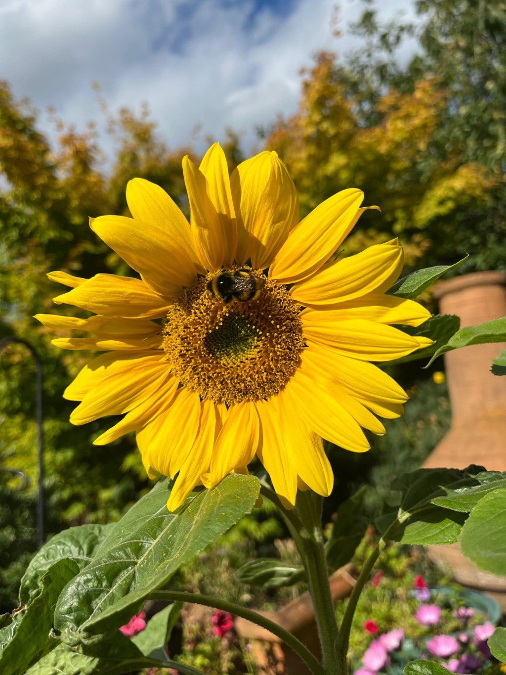 God is faithful – 2 Timothy 2 v&nbsp;13